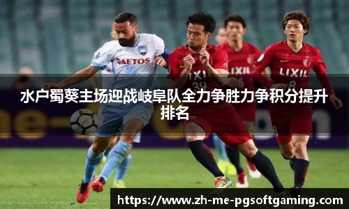 水户蜀葵主场迎战岐阜队全力争胜力争积分提升排名